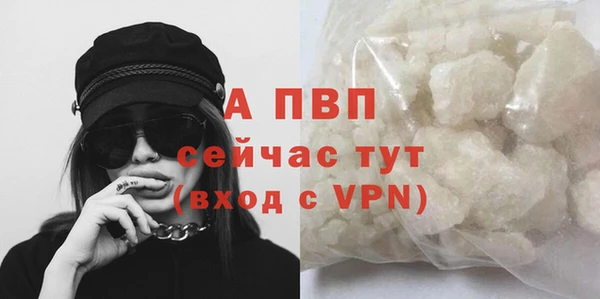 ALPHA-PVP Елизово