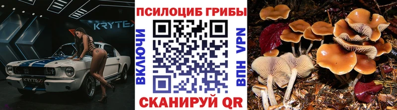 Псилоцибиновые грибы Cubensis  Искитим 