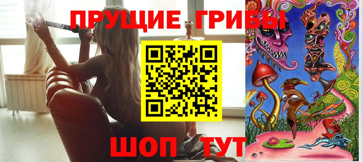 Псилоцибиновые грибы Cubensis Искитим