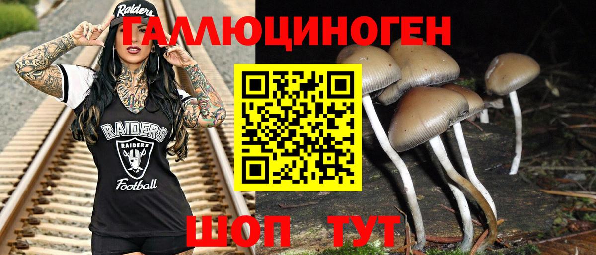 Псилоцибиновые грибы Psilocybine cubensis  Вход с VPN  Искитим 
